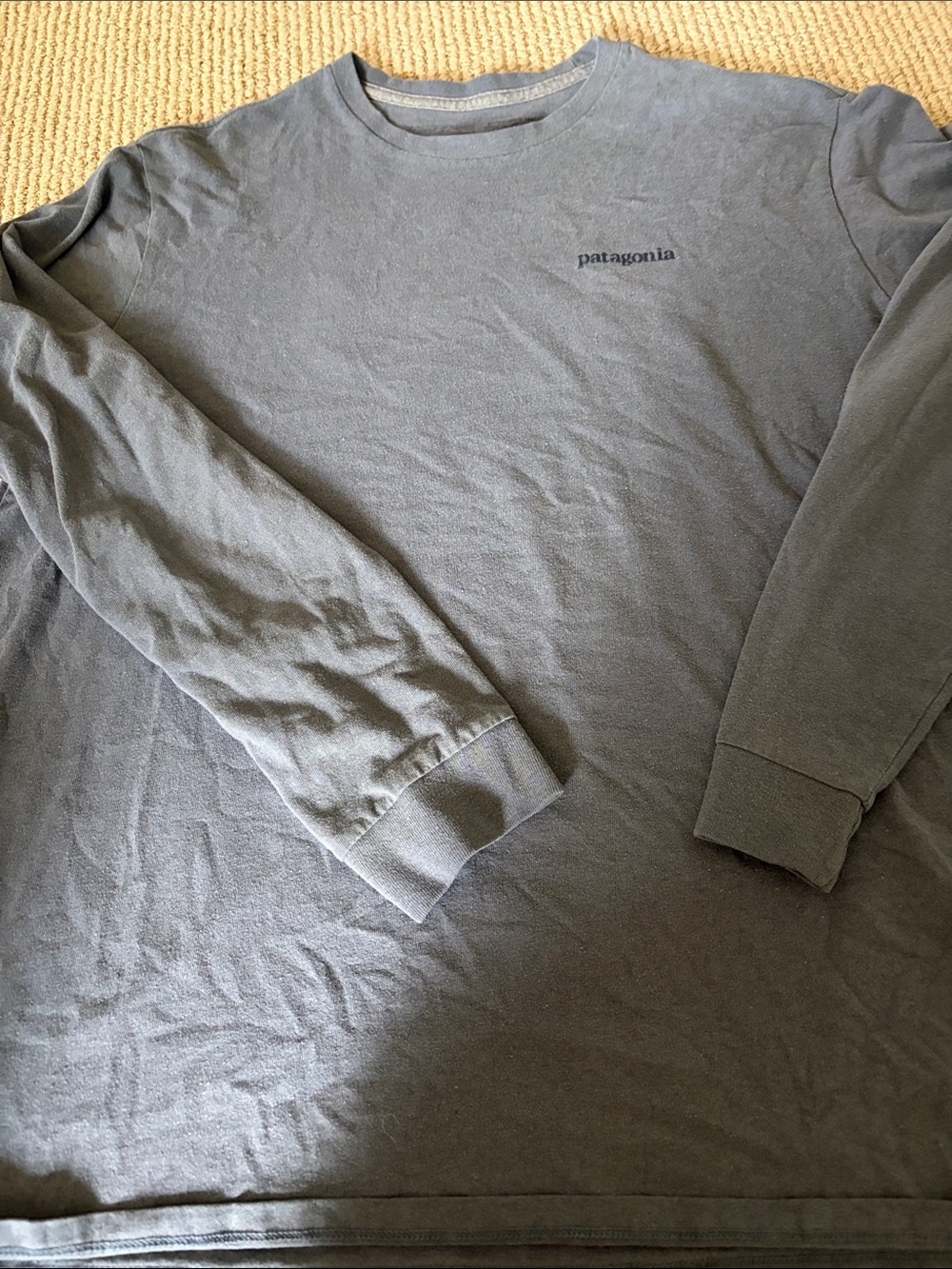 Patagonia Men's Long Sleeve Tee in Slate Gray